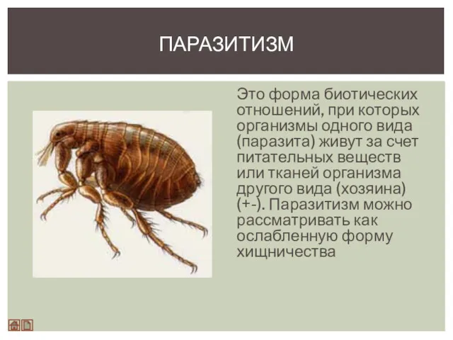 Это форма биотических отношений, при которых организмы одного вида (паразита)