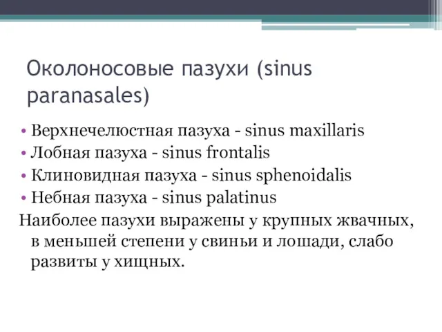 Околоносовые пазухи (sinus paranasales) Верхнечелюстная пазуха - sinus maxillaris Лобная пазуха - sinus