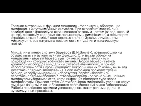 Главное в строении и функции миндалин - фолликулы, образующие лимфоциты