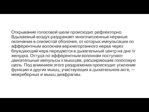 Открывание голосовой щели происходит рефлекторно. Вдыхаемый воздух раздражает многочисленные нервные