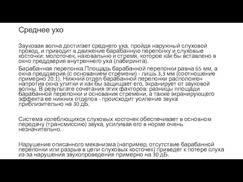 Среднее ухо Звуковая волна достигает среднего уха, пройдя наружный слуховой