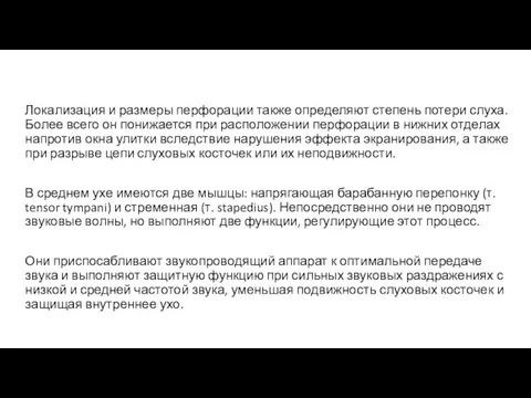 Локализация и размеры перфорации также определяют степень потери слуха. Более