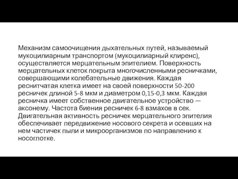 Механизм самоочищения дыхательных путей, называемый мукоцилиарным транспортом (мукоцилиарный клиренс), осуществляется