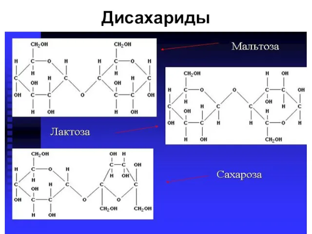 Дисахариды