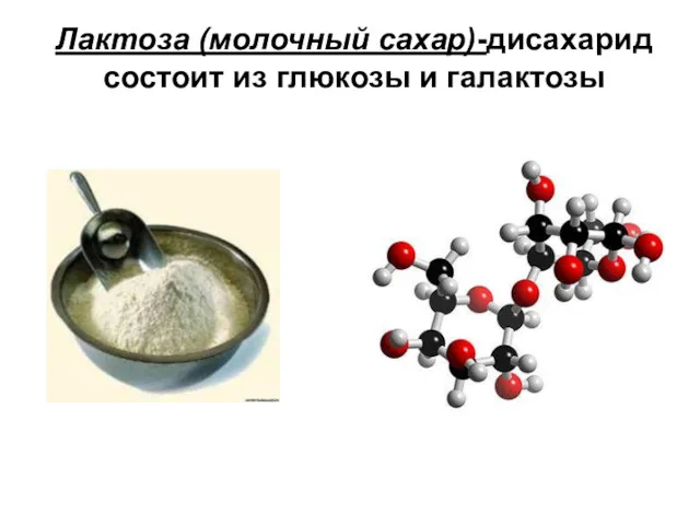 Лактоза (молочный сахар)-дисахарид состоит из глюкозы и галактозы