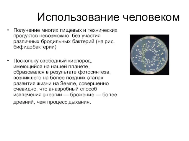 Использование человеком Получение многих пищевых и технических продуктов невозможно без