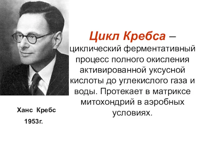 Цикл Кребса – циклический ферментативный процесс полного окисления активированной уксусной