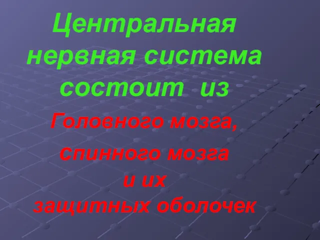 Центральная нервная система состоит из Головного мозга, спинного мозга и их защитных оболочек