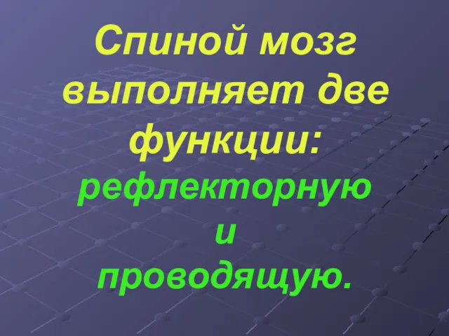 Спиной мозг выполняет две функции: рефлекторную и проводящую.