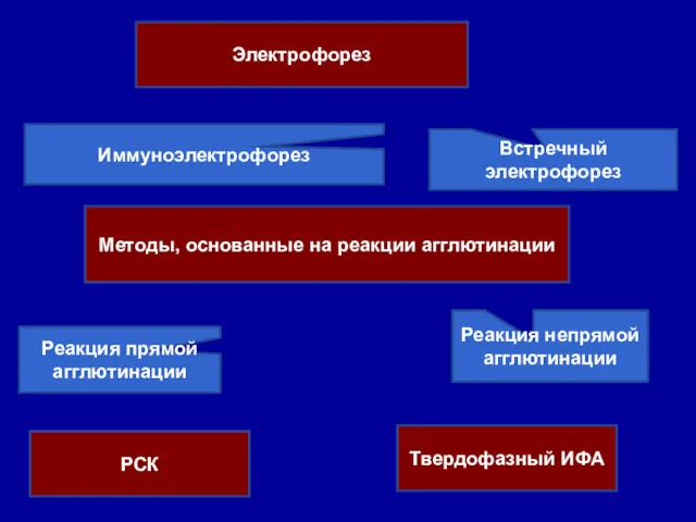 Электрофорез Иммуноэлектрофорез Встречный электрофорез Методы, основанные на реакции агглютинации Реакция