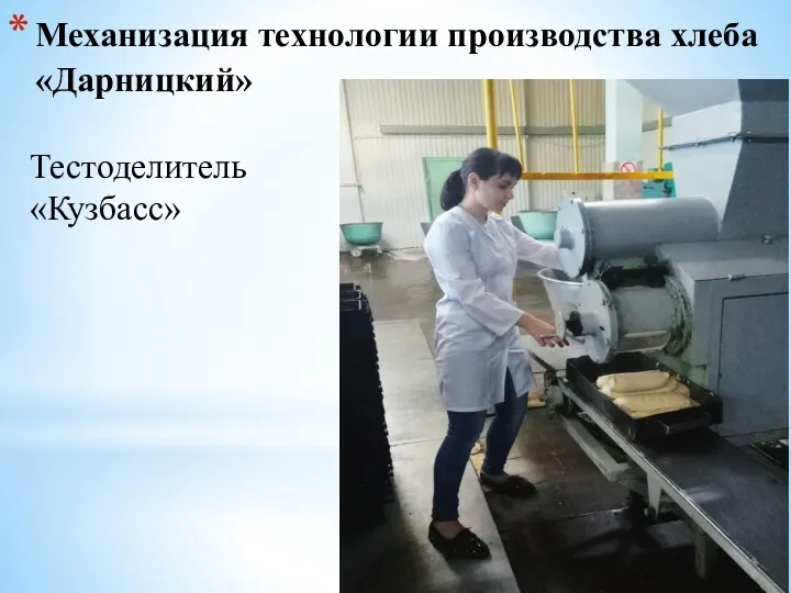 Механизация технологии производства хлеба «Дарницкий» Тестоделитель «Кузбасс»