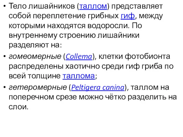 Тело лишайников (таллом) представляет собой переплетение грибных гиф, между которыми