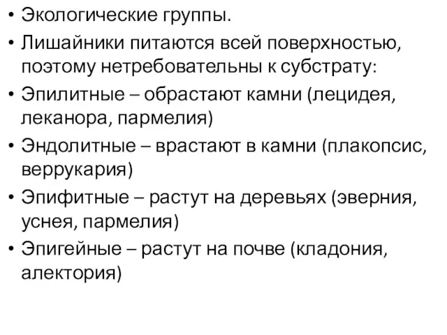 Экологические группы. Лишайники питаются всей поверхностью, поэтому нетребовательны к субстрату: