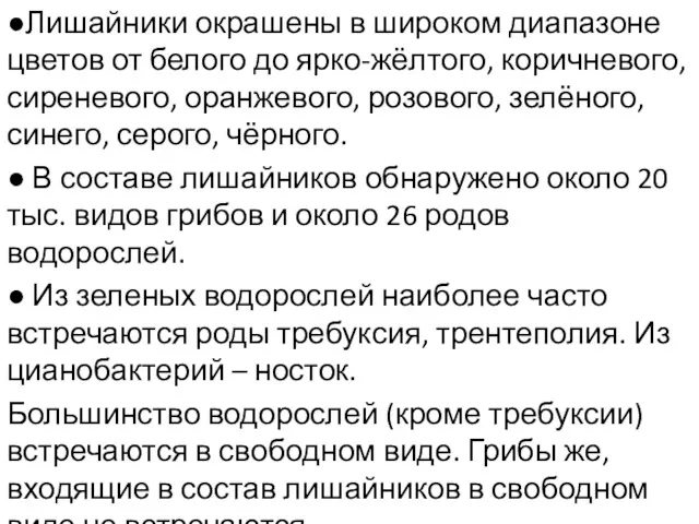 ●Лишайники окрашены в широком диапазоне цветов от белого до ярко-жёлтого,