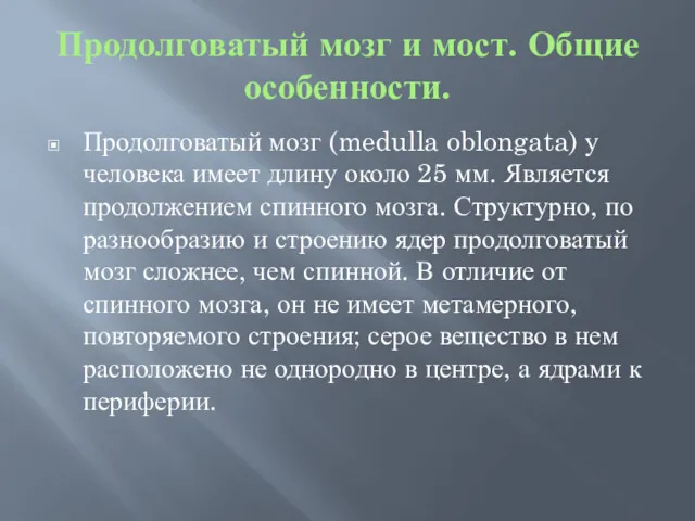 Продолговатый мозг и мост. Общие особенности. Продолговатый мозг (medulla oblongata)