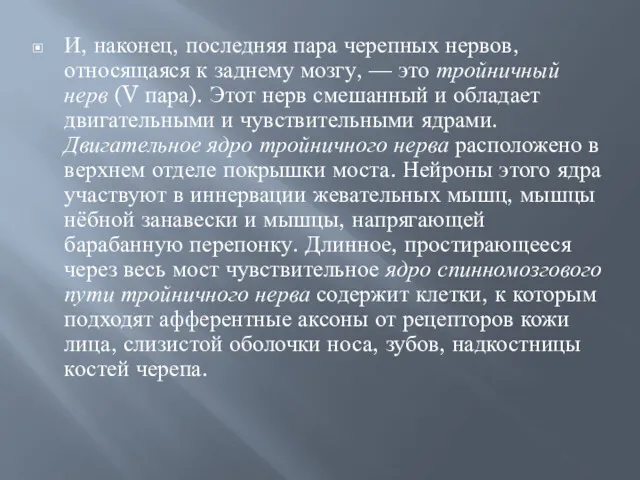 И, наконец, последняя пара черепных нервов, относящаяся к заднему мозгу,