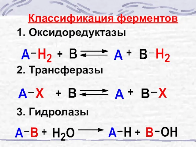 Классификация ферментов 1. Оксидоредуктазы 2. Трансферазы 3. Гидролазы