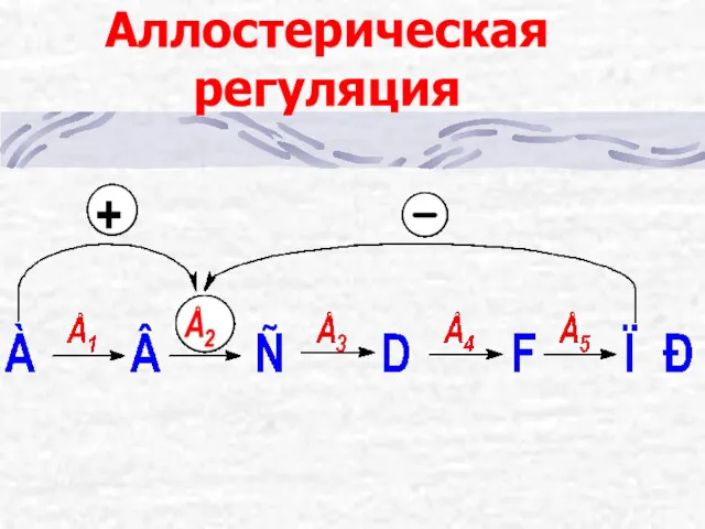 Аллостерическая регуляция