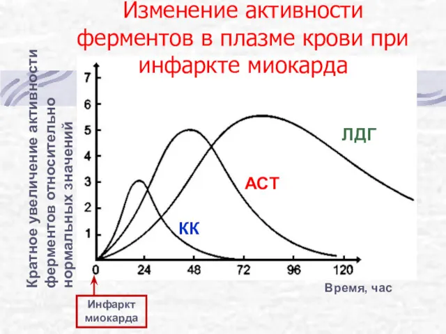 Кратное увеличение активности ферментов относительно нормальных значений Инфаркт миокарда Время,