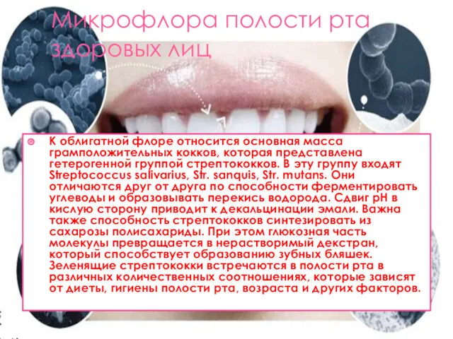 Микрофлора полости рта здоровых лиц К облигатной флоре относится основная