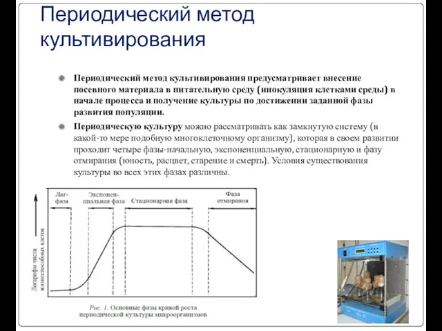 Периодический метод культивирования Периодический метод культивирования предусматривает внесение посевного материала