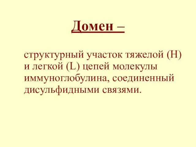 Домен – структурный участок тяжелой (H) и легкой (L) цепей молекулы иммуноглобулина, соединенный дисульфидными связями.