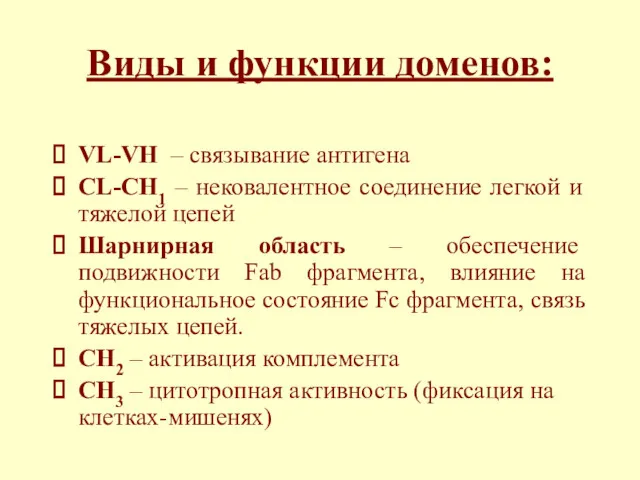 Виды и функции доменов: VL-VH – связывание антигена CL-CH1 –