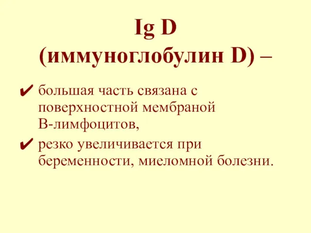 Ig D (иммуноглобулин D) – большая часть связана с поверхностной