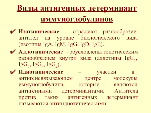 Виды антигенных детерминант иммуноглобулинов Изотипические – отражают разнообразие антител на