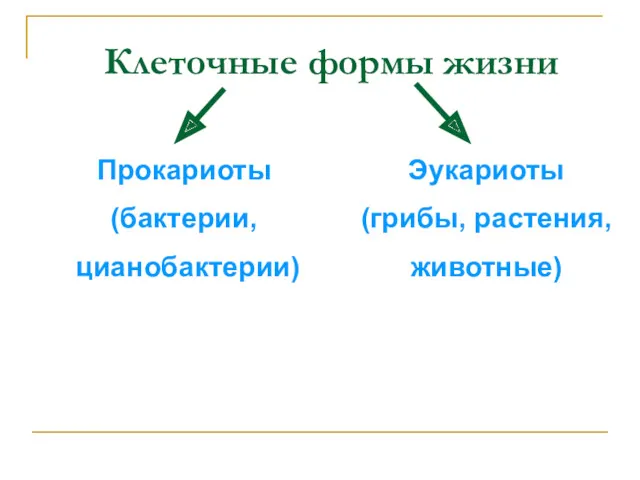 Клеточные формы жизни Прокариоты (бактерии, цианобактерии) Эукариоты (грибы, растения, животные)