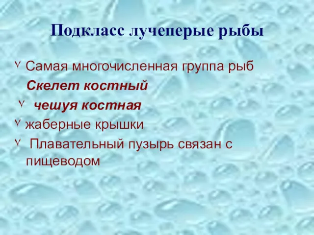 Подкласс лучеперые рыбы ۷ Самая многочисленная группа рыб Скелет костный