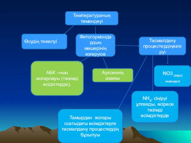 Температураның төмендеуі Өсудің тежелуі Фитогормондардың мөшерінің өзгеруіов АБК –ның жоғарлауы