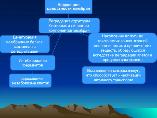 Нарушение целостности мембран Деградация структуры белковых и липидных компонентов мембран