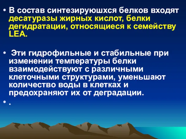 В состав синтезируюшхся белков входят десатуразы жирных кислот, белки дегидратации,