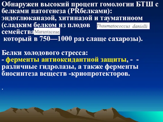 Обнаружен высокий процент гомологии БТШ с белками патогенеза (РRбелками): эндоглюканазой,