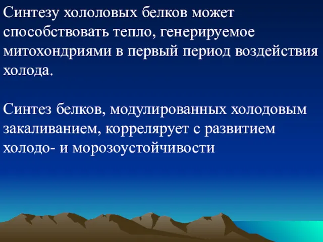 Синтезу хололовых белков может способствовать тепло, генерируемое митохондриями в первый