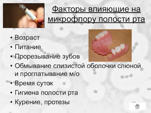 Факторы влияющие на микрофлору полости рта Возраст Питание Прорезывание зубов