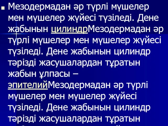 Мезодермадан әр түрлі мүшелер мен мүшелер жүйесі түзіледі. Дене жабынын цилиндрМезодермадан әр түрлі