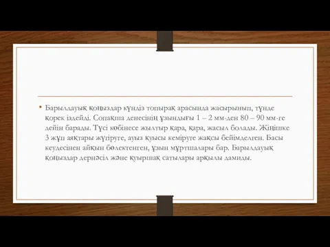 Барылдауық қоңыздар күндіз топырақ арасында жасырынып, түнде қорек іздейді. Сопақша