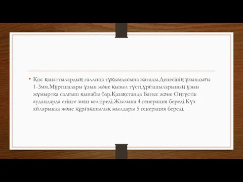 Қос қанаттылардың галлица тұқымдасына жатады.Денесінің ұзындығы 1-3мм.Мұртшалары ұзын және қызыл