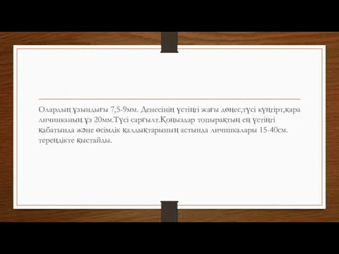 Олардың ұзындығы 7,5-9мм. Денесінің үстіңгі жағы дөңес,түсі күңгірт,қара личинканың ұз