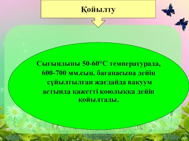 Қойылту Сығындыны 50-60°С температурада, 600-700 мм.сын. бағанасына дейiн сұйылтылған жағдайда вакуум астында қажеттi қоюлыққа дейiн қойылтады.