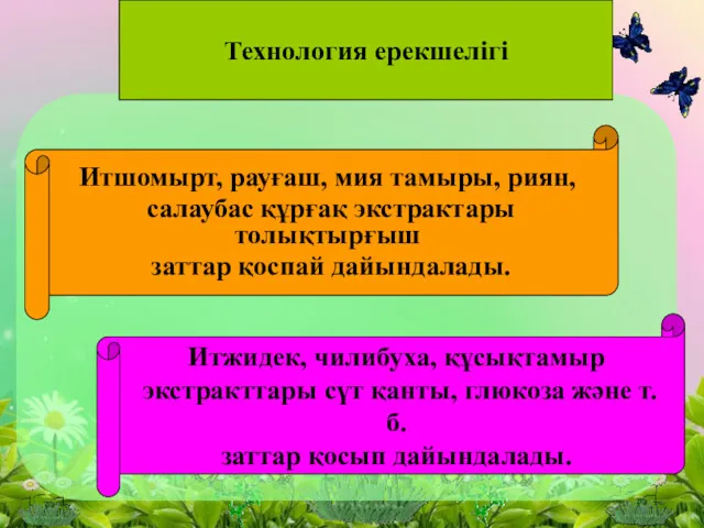 Технология ерекшелігі Итшомырт, рауғаш, мия тамыры, риян, салаубас құрғақ экстрактары