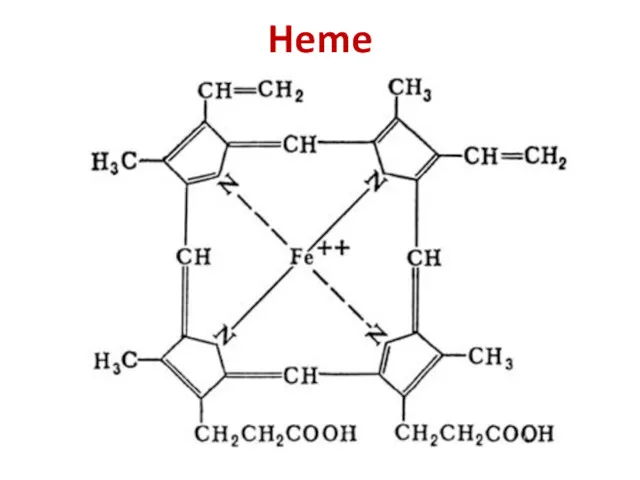 Heme