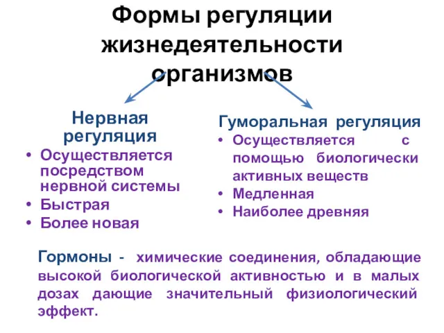 Формы регуляции жизнедеятельности организмов Нервная регуляция Осуществляется посредством нервной системы