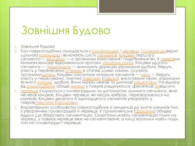 Зовнішня Будова Зовнішня будова Тіло павукоподібних складається з головогрудей і