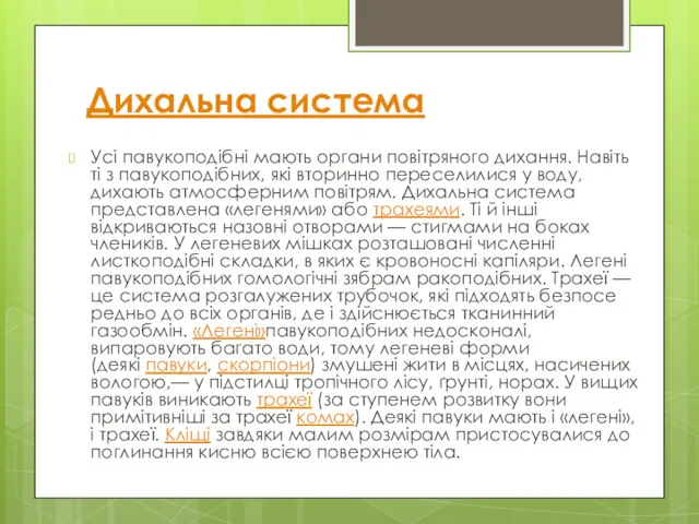 Дихальна система Усі павукоподібні мають органи повітряного дихання. Навіть ті