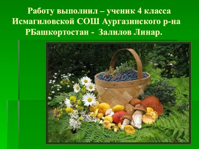 Работу выполнил – ученик 4 класса Исмагиловской СОШ Аургазинского р-на РБашкортостан - Залилов Линар.