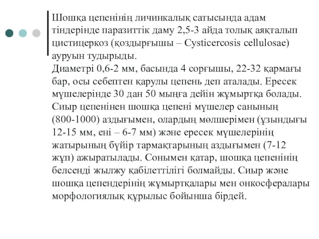 Шошқа цепенінің личинкалық сатысында адам тіндерінде паразиттік даму 2,5-3 айда