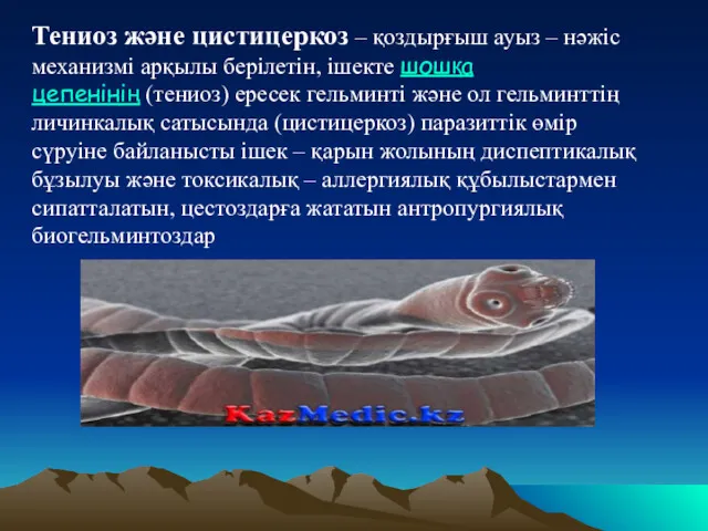 Тениоз және цистицеркоз – қоздырғыш ауыз – нәжіс механизмі арқылы